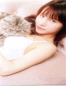 迎春花电视剧